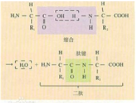 图片.png 图片.png